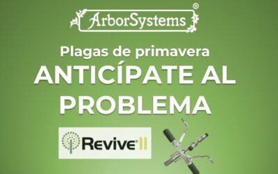 Plagas emergentes en primavera: cómo anticiparse con endoterapia