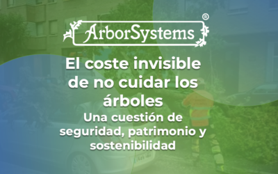 El coste invisible de no cuidar los árboles: una cuestión de seguridad, patrimonio y sostenibilidad