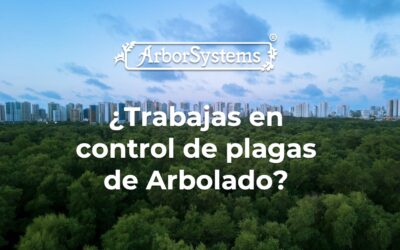 ¿Por qué deberías conocer el sistema de inyección Wedgle Direct si trabajas en control de plagas en arbolado?