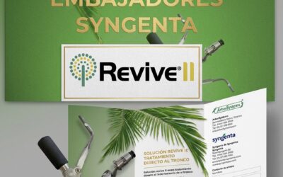 REVIVE II: lo que llevamos años aplicando y por qué es nuestra apuesta