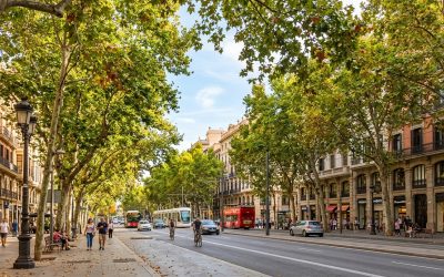 Endoterapia vegetal en otoño: cuando el calor no se va